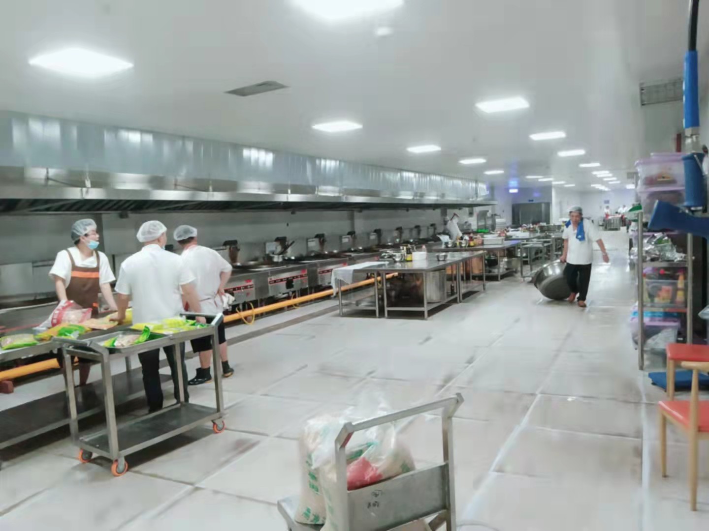 川菜商用叼嘿软件下载大全設計