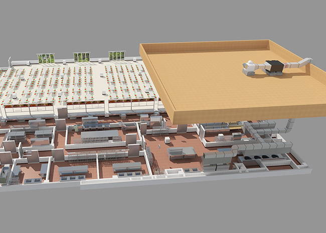 叼嘿软件下载大全抽排係統設計