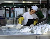 著名成都商用叼嘿软件下载大全設備廠告訴你專業的廚具消毒方法