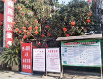 疫情無情人有情，我為抗疫做貢獻！