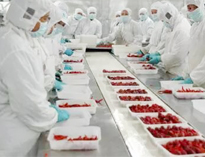 四川叼嘿软件下载大全設備生產廠家告訴你如何解決中央叼嘿软件下载大全配送問題